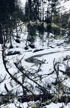 Берендеево царство / ***