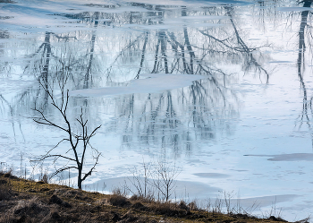 Рисунок весны / На льду пруда скопилась дождевая вода и получилось живописное отражение. 
Ивнянский район. Март, 2023 года.
Из фотопроекта "Земля Белгородская».