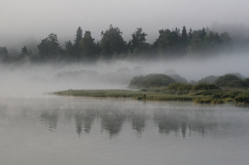 Утро на озере / Торбеевское озеро