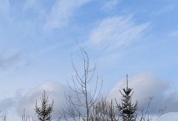 незыблемость / _____