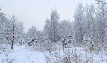 Зимний пейзаж. / Зимой в парке.
