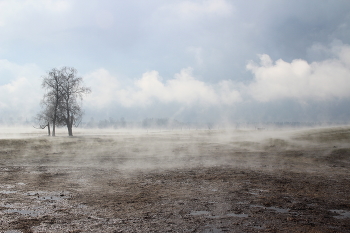 Апрельский туман / Апрельский туман в Эстонии