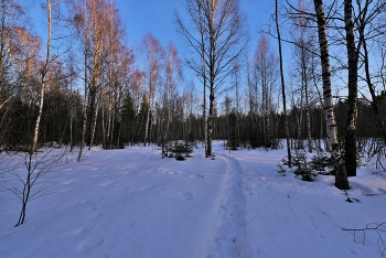 "Был вечер безмятежно тих ..." / "Был вечер безмятежно тих,
 В нем томный взгляд из неги сна.
 А из пространств миров других,
 Дышала тайной тишина ..."