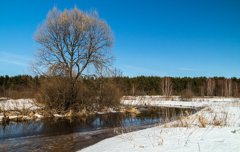 Весна вступает в свои права # 08 / 19 марта 2023. Восточное Подмосковье, река Дрезна...