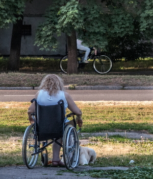 У каждого свои колёса... / Мимокрокодил))