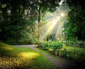 Лучи / Кусково