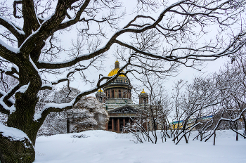 Домик в лесу. / 2011 год.