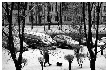 Девушка с собачкой. / Обычный день зимнем утром .