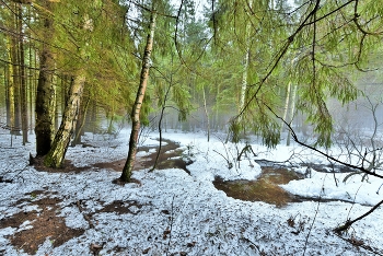 &quot;Стволы берез, проснувшись, дышат настоем мартовского дня...&quot; / &quot;А лес жемчужной гладью вышит,
 красой ажурною маня.
 Стволы берез, проснувшись, дышат
 настоем мартовского дня ...&quot;