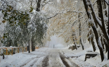 Заснежило..... / Железноводск. Ноябрь