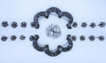 Зимняя геометрия / Царское Село