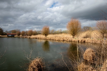 В предпоследний день марта / ***