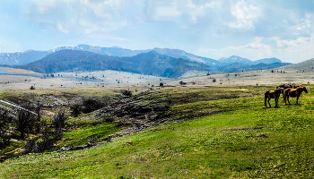 Весенний этюд / Крым