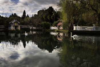 "Южные культуры" / Адлерский дендропарк. Великолепное место для отдыха и наслаждения красотой уникальными декоративными растениями. Многоуровневый парк с многочисленными лестницами, мостиками и прудами дарит много приятных впечатлений активным посетителям. Чтобы полюбоваться всей красотой зеленых аллей потребуется не менее 3--х часов.