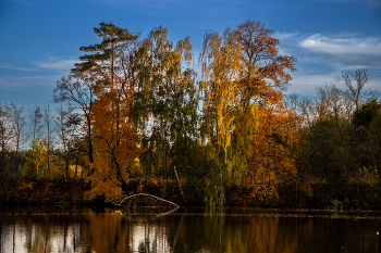 Осень / Осенний лес и река