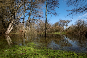 В слиянии миров / ***