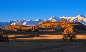 Горный Алтай. / Закат в Курайской степи.