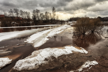 Жизнь вокруг / Описание