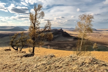 Весна на Сундуках / На деревьях появились маленькие листочки