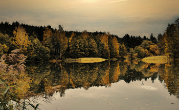 Медовые краски осени. / Прозрачность осени золотой.