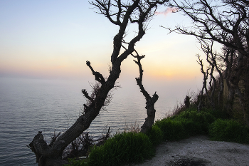 На круче / Закатные туманы