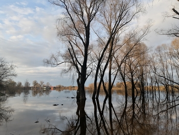 &nbsp; / Половодье
