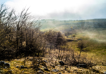 Утренняя роса / Крым Яйла