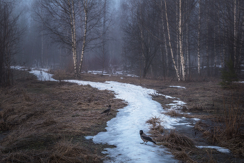 &nbsp; / конец марта, весна