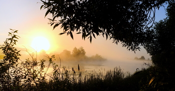 Лето. Рассвет. / Туман на озере Сосновое.