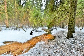 &quot;Снега потемнеют синие ...&quot; / &quot;Снега потемнеют синие
 Вдоль загородных дорог,
 И воды зайдут низинами
 В прозрачный еще лесок ...&quot;
 А.Твардовский