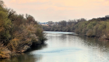 Берега Оки покрылись зеленоватой дымкой / Берега Оки покрылись зеленоватой дымкой весны