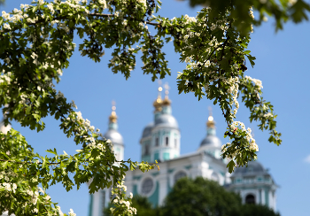 Однажды весной.... / Однажды весной....