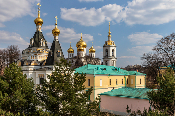 Купола Елизаветинской церкви и Успенского собора. / Дмитров.