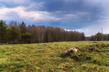 Под хмурым майским небом / Сюжеты весны
