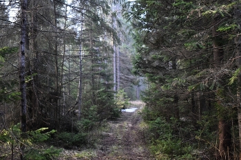 апрельское / _____