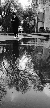 После ливня. / Алматы.