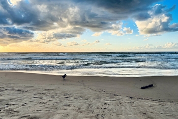 У моря / зима