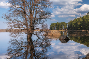 Весеннее половодье.... / ***