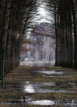 Апрель... / ...в Тимирязевском парке...