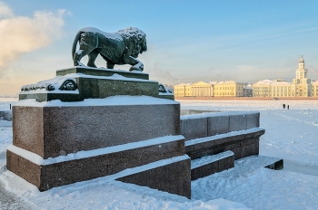 Зимним утром. / Петербург. Январь 2016. Минус 25.