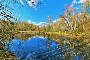 "Апрель уже развесил акварель в тиши природной..." / "Открыта выставка. Апрель
 Уже развесил акварель
 В тиши природной.
 Показ продлится пять недель
 И вход свободный,
 Ну, а сегодня - вернисаж,
 Его тематика - пейзаж,
 Весны раденье ..."
 Л.Миллер