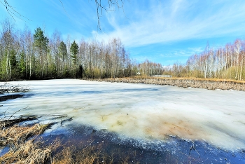 "Апрельский лед - как сахарный песок, насыпанный в тарелку с голубикой..." / Апрельский этюд ...