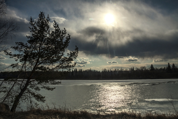 Ока весенняя / ***