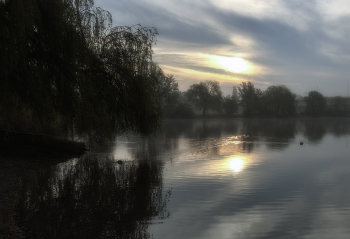 Дымчатый рассвет / ***