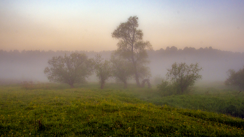 &nbsp; / Летние туманы