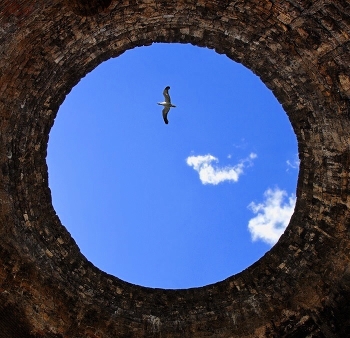 Полёт / Ракурс