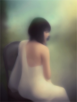 &nbsp; / Описание*