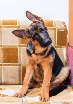 Я вся такая... / 2021 год.