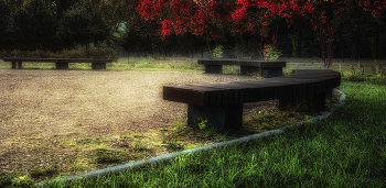 Утро. Лавочки. / Природный заказник Сетунь.