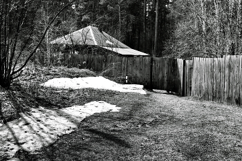 *Последний снег.** / Томская область.